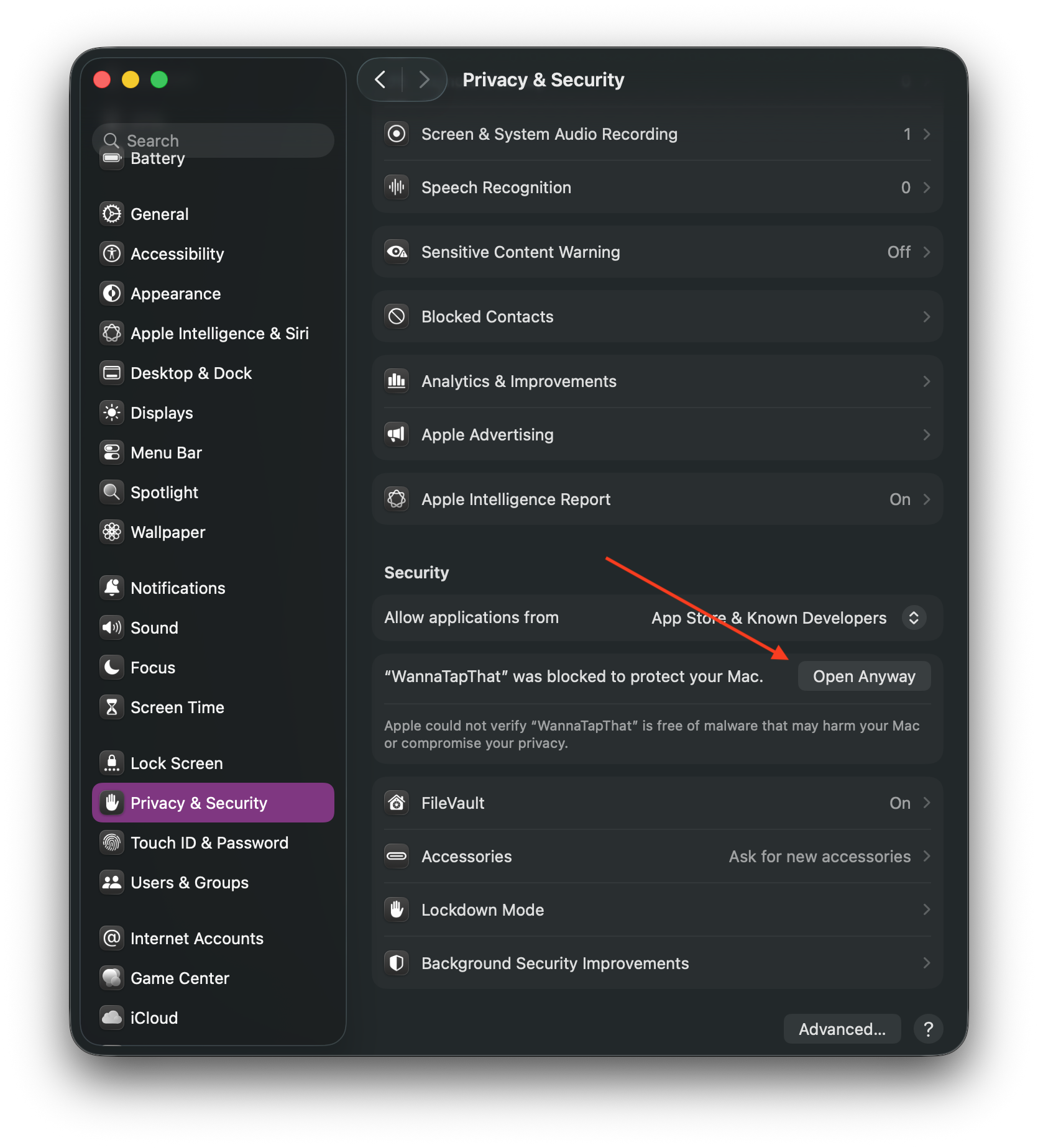 Privacy & Security settings showing Open Anyway